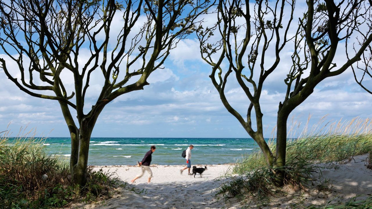 Strand Strand
